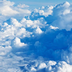 Meet your Posher, Josephine